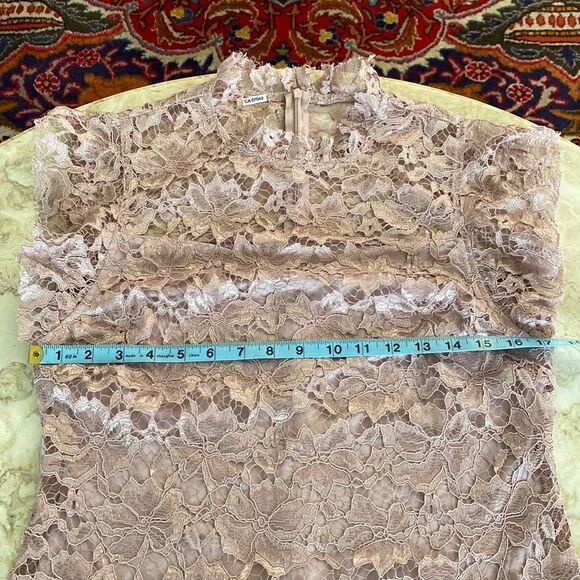 En Focus Pink Lace Sheath Dress - Picture 9 of 13